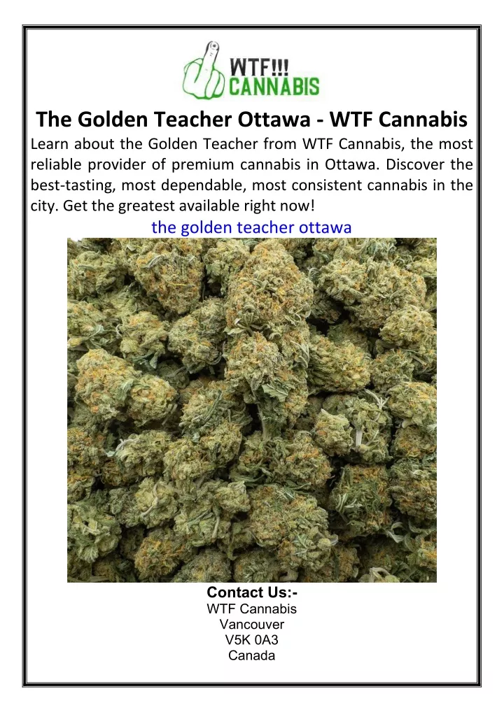 the golden teacher ottawa wtf cannabis learn