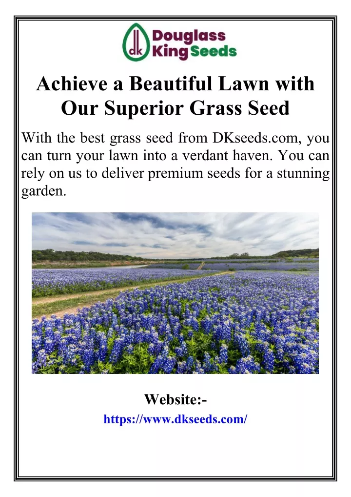 achieve a beautiful lawn with our superior grass