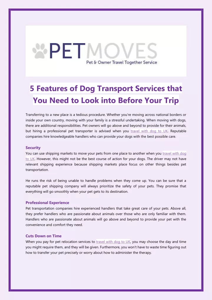 5 features of dog transport services that