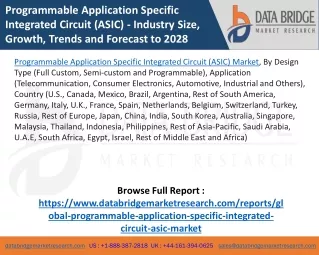 programmable application specific integrated