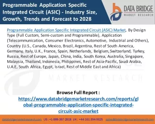 programmable application specific integrated