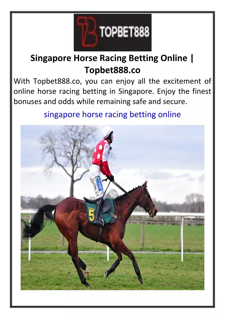 singapore horse racing betting online topbet888
