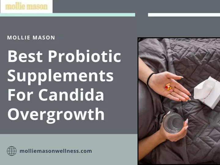 mollie mason best probiotic supplements