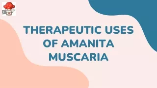 Therapeutic Uses of amanita mascaria