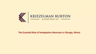 The Essential Role of Immigration Attorneys in Chicago, Illinois