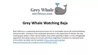 Visit Grey Whales Locations  in Baja
