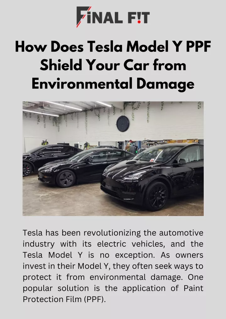 how does tesla model y ppf shield your car from