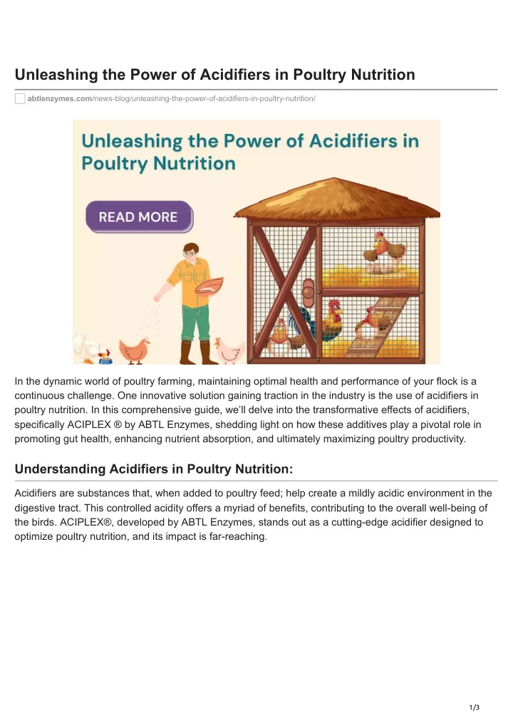 unleashing the power of acidifiers in poultry