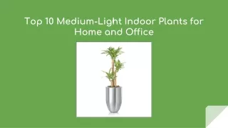 Top 10 Medium-Light Indoor Plants for Home and Office