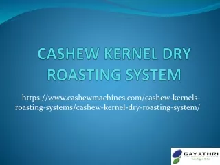 Cashew Kernel Dry Roasting System | High-Quality Cashew Machines