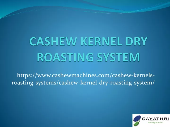 cashew kernel dry roasting system