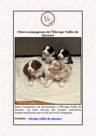 Chers compagnons de l'Élevage Vallée de Quezacs