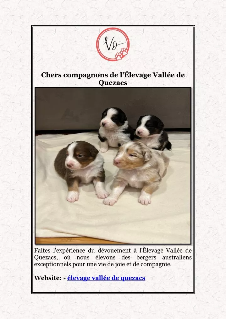 chers compagnons de l levage vall e de quezacs