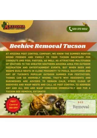 Beehive Removal Tucson