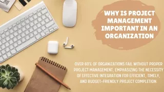 Why is Project Management important in an Organization