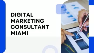 Digital Marketing Consultant Miami