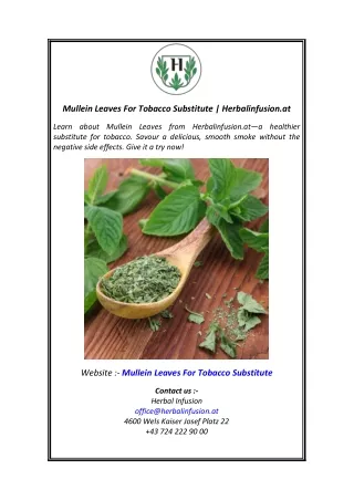 Mullein Leaves For Tobacco Substitute  Herbalinfusion.at