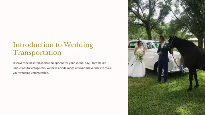 introduction to wedding transportation