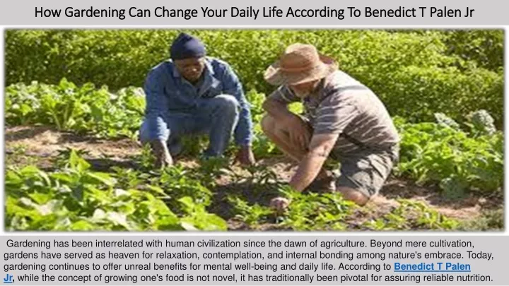 how gardening can change your daily life according to benedict t palen jr