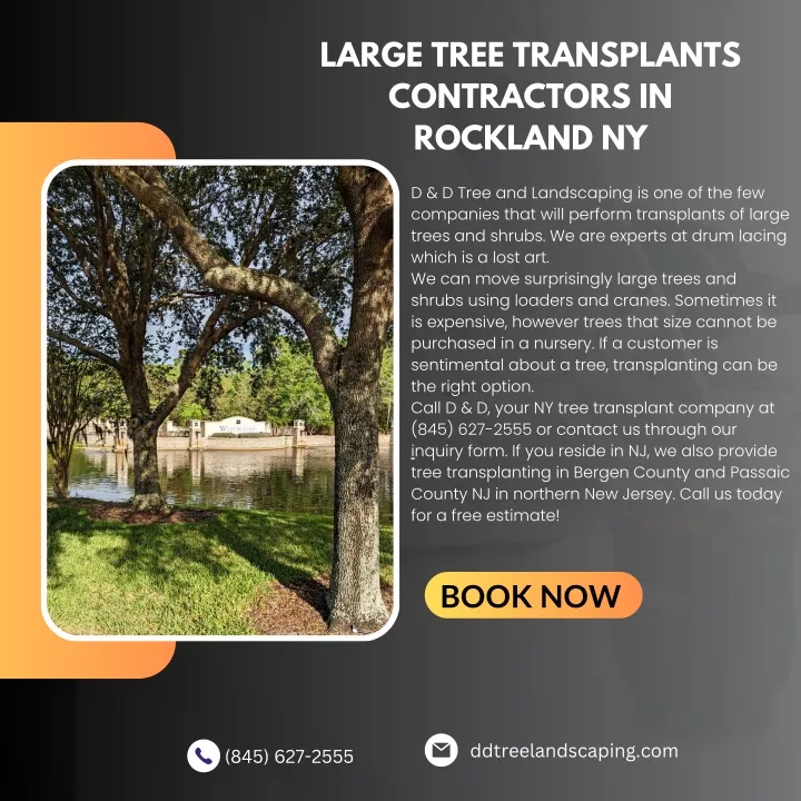 large tree transplants contractors in rockland ny