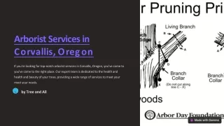 arborist services in corvallis oregon