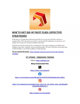 how to get rid of fruit flies effective