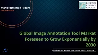 market research report exclusive edition