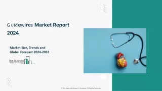 Guidewires Market Industry Outlook, Size And Research Report 2033