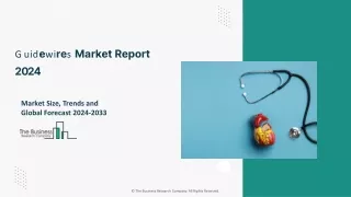 guidewires market report 2024