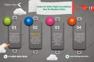 Rules For Delta Flight Cancellation Due To Weather Policy