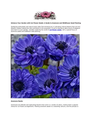 Trailing Petunia Enhance Your Garden with Cut Flower Seeds A Guide to Anemone and Wildflower Seed Planting