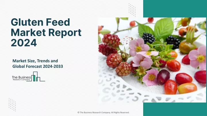 gluten feed market report 2024
