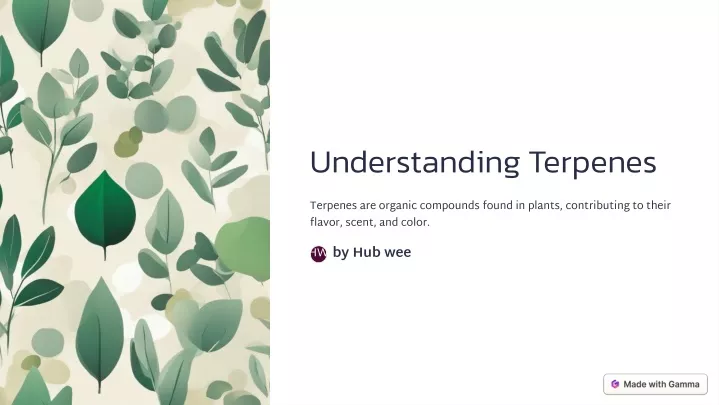 understanding terpenes