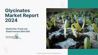 glycinates market report 2024