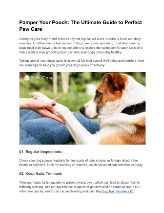Pamper Your Pooch_ The Ultimate Guide to Perfect Paw Care