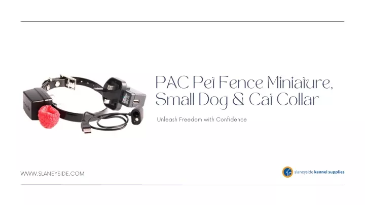 pac pet fence miniature small dog cat collar