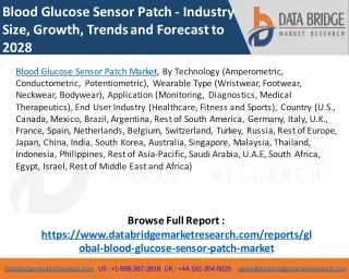blood glucose sensor patch industry size growth