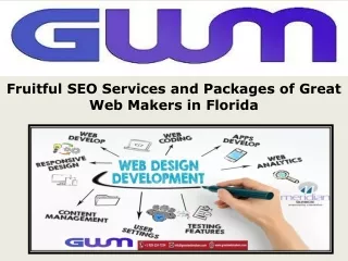 Fruitful SEO Services and Packages of Great Web Makers in Florida