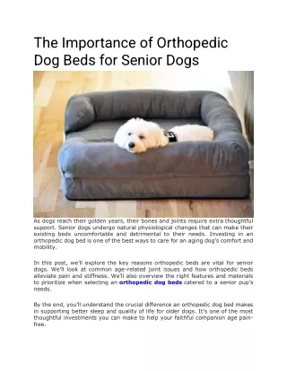 The Importance of Orthopedic Dog Beds for Senior Dogs