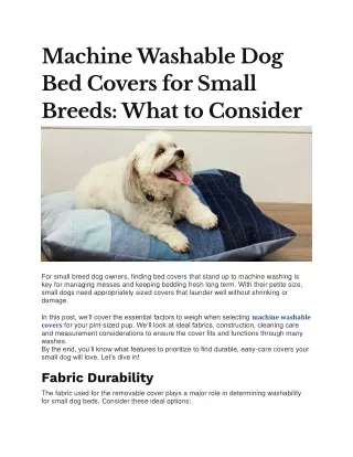 Machine Washable Dog Bed Covers for Small Breeds What to Consider