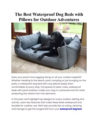 The Best Waterproof Dog Beds with Pillows for Outdoor Adventures