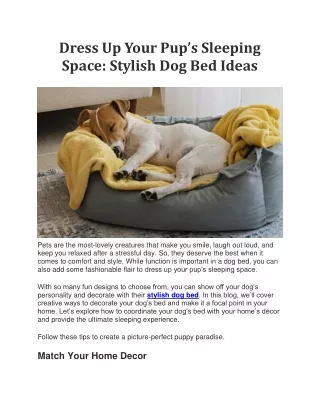 Dress Up Your Pup’s Sleeping Space Stylish Dog Bed Ideas