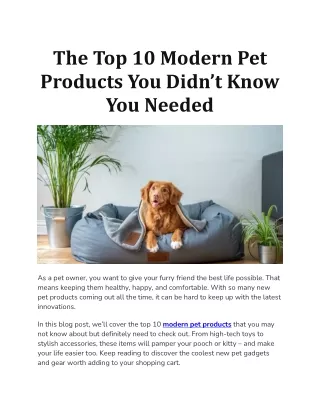 The Top 10 Modern Pet Products You Didn’t Know You Needed