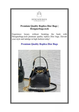 Premium Quality Replica Dior Bags  Designerbags.tech