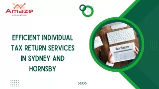 Efficient Individual Tax Return Services in Sydney and Hornsby