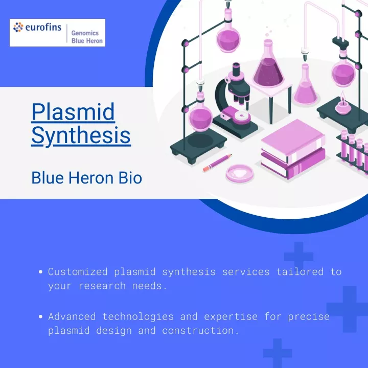plasmid synthesis blue heron bio