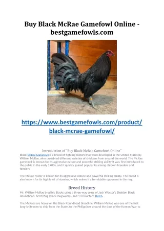 BUY BLACK MCRAE GAMEFOWL ONLINE - BESTGAMEFOWLS.COM