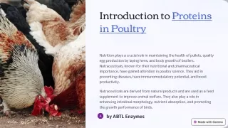 Introduction-to-Proteins-in-Poultry