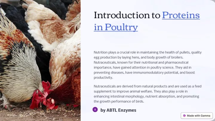 introduction to proteins in poultry