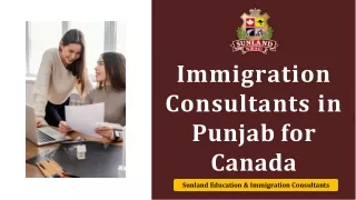 Immigration Consultants in Punjab for Canada